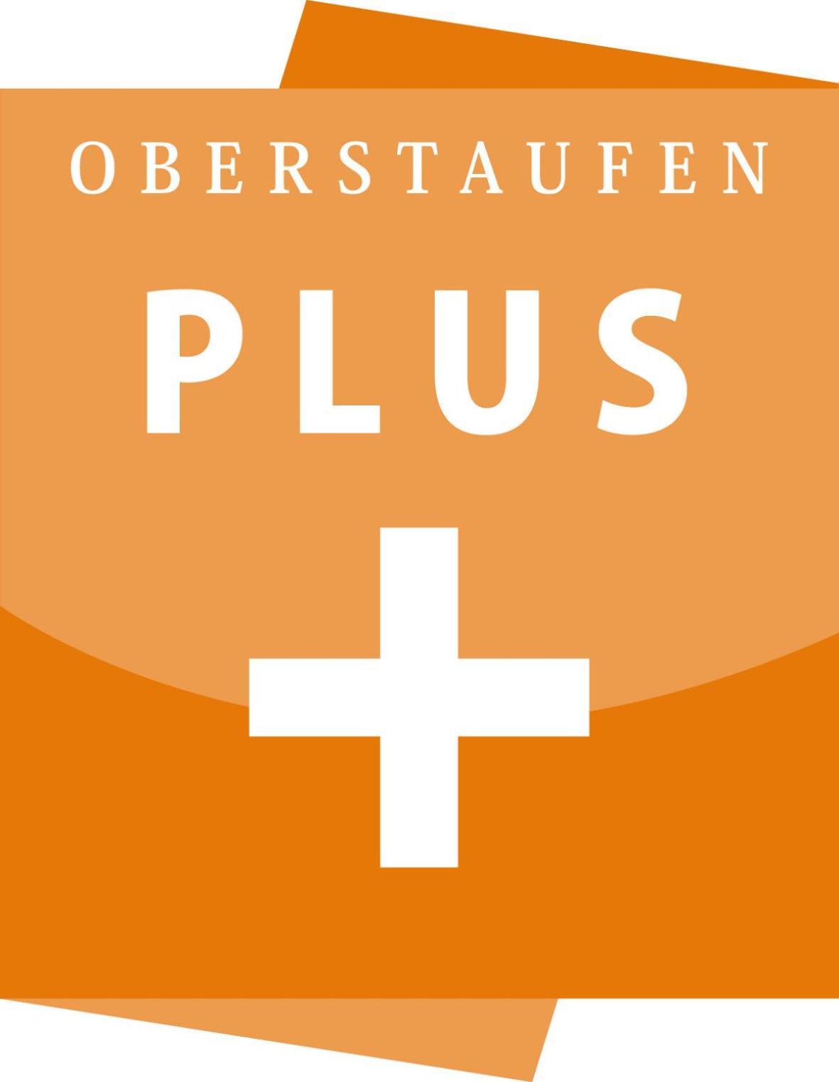 Exklusive Fewo Allgaeustern Steibis Mit Wlan Sauna Kamin Und Oberstaufen Plus Card Exterior photo